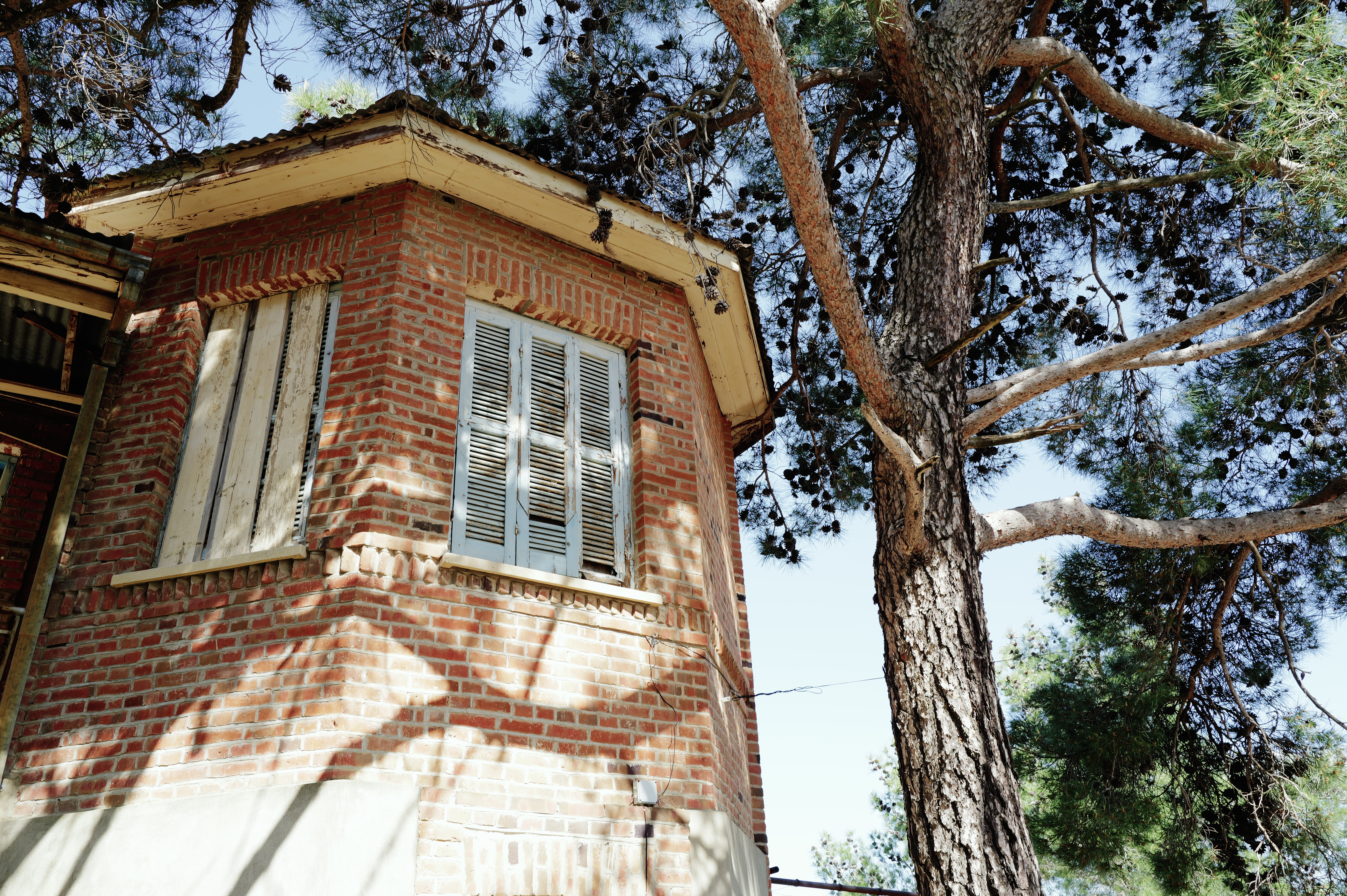 Colonial House in the Pines