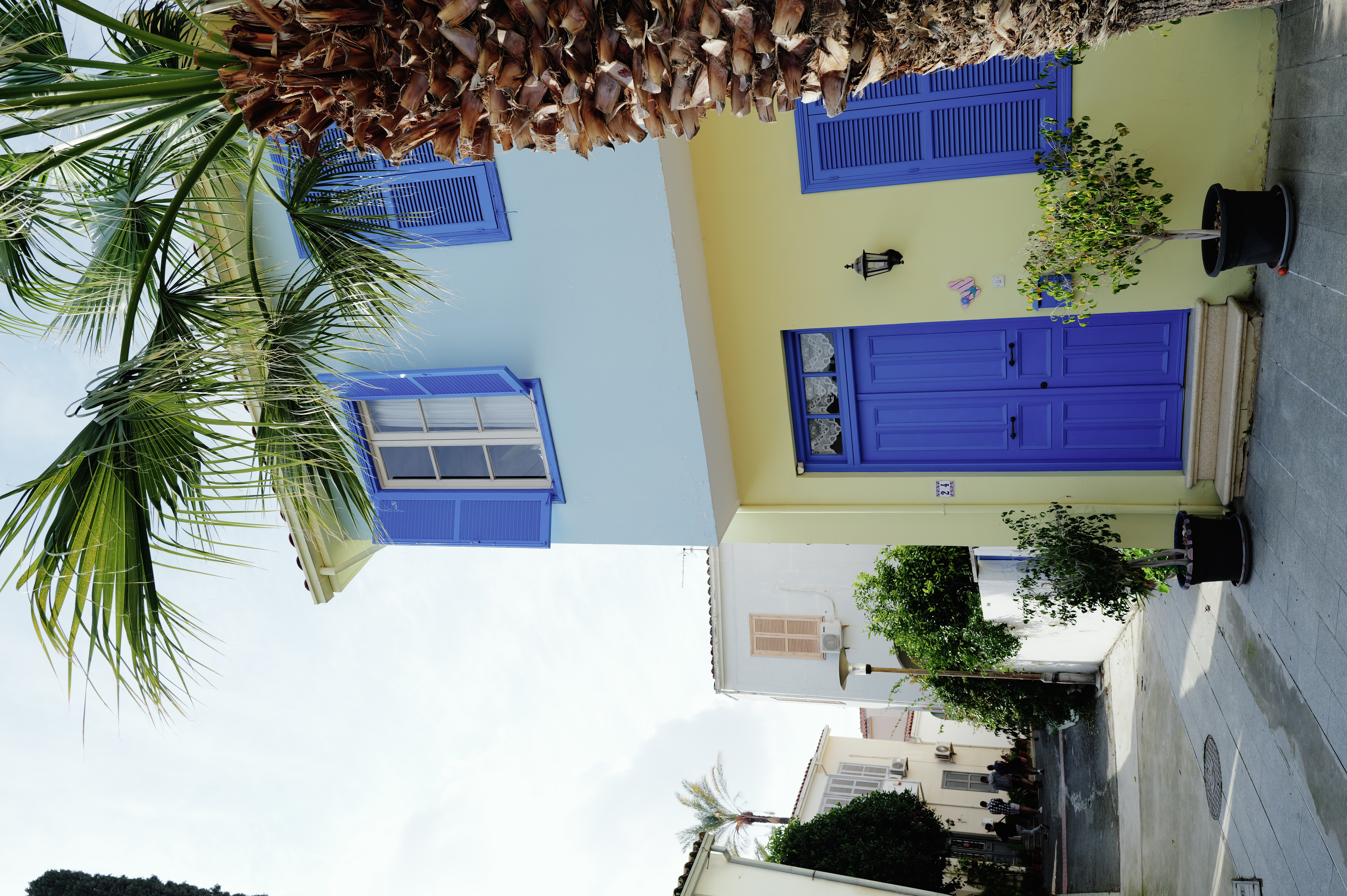 Blue Door and Palm