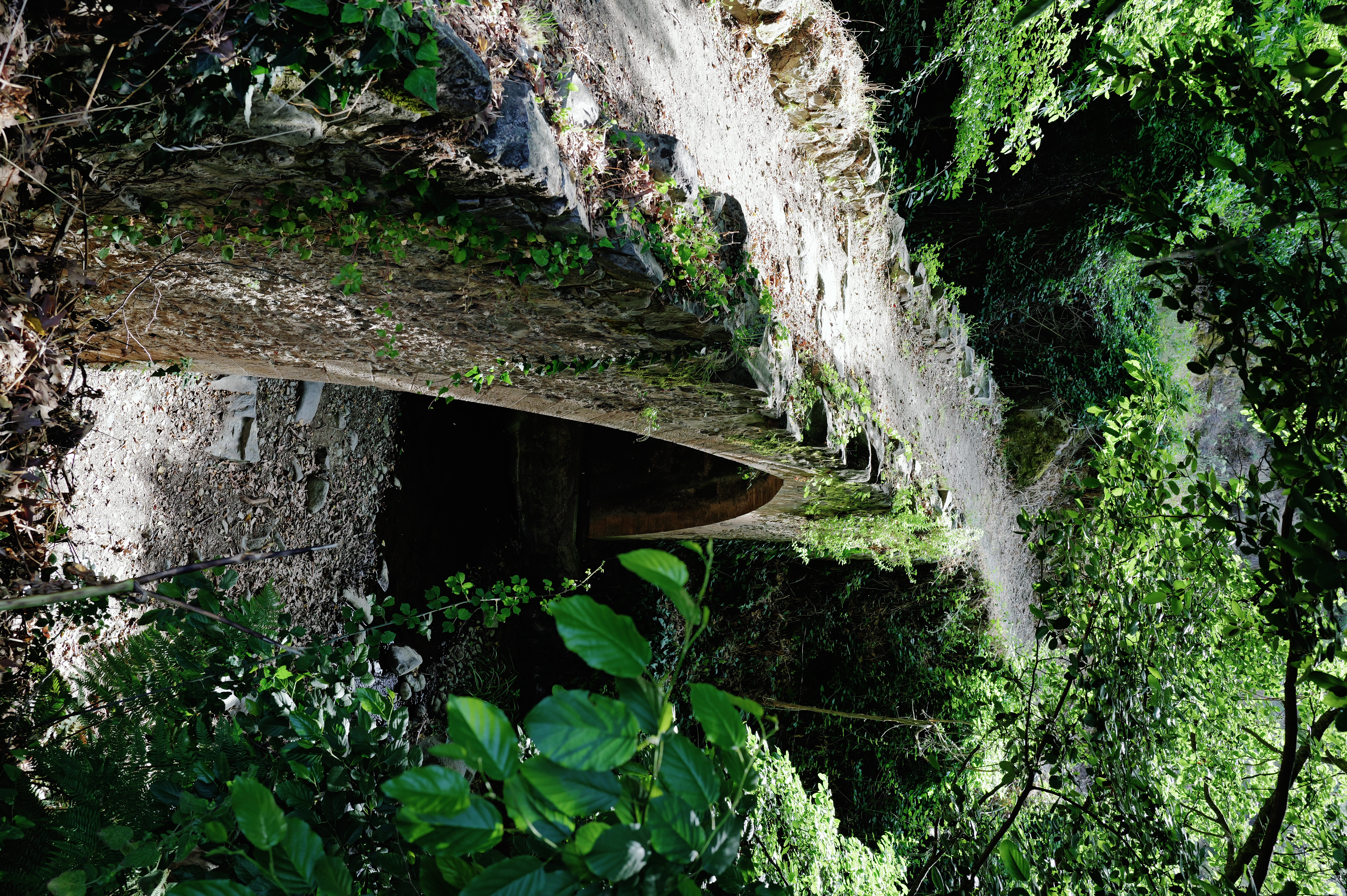 Venetian Stone Bridge