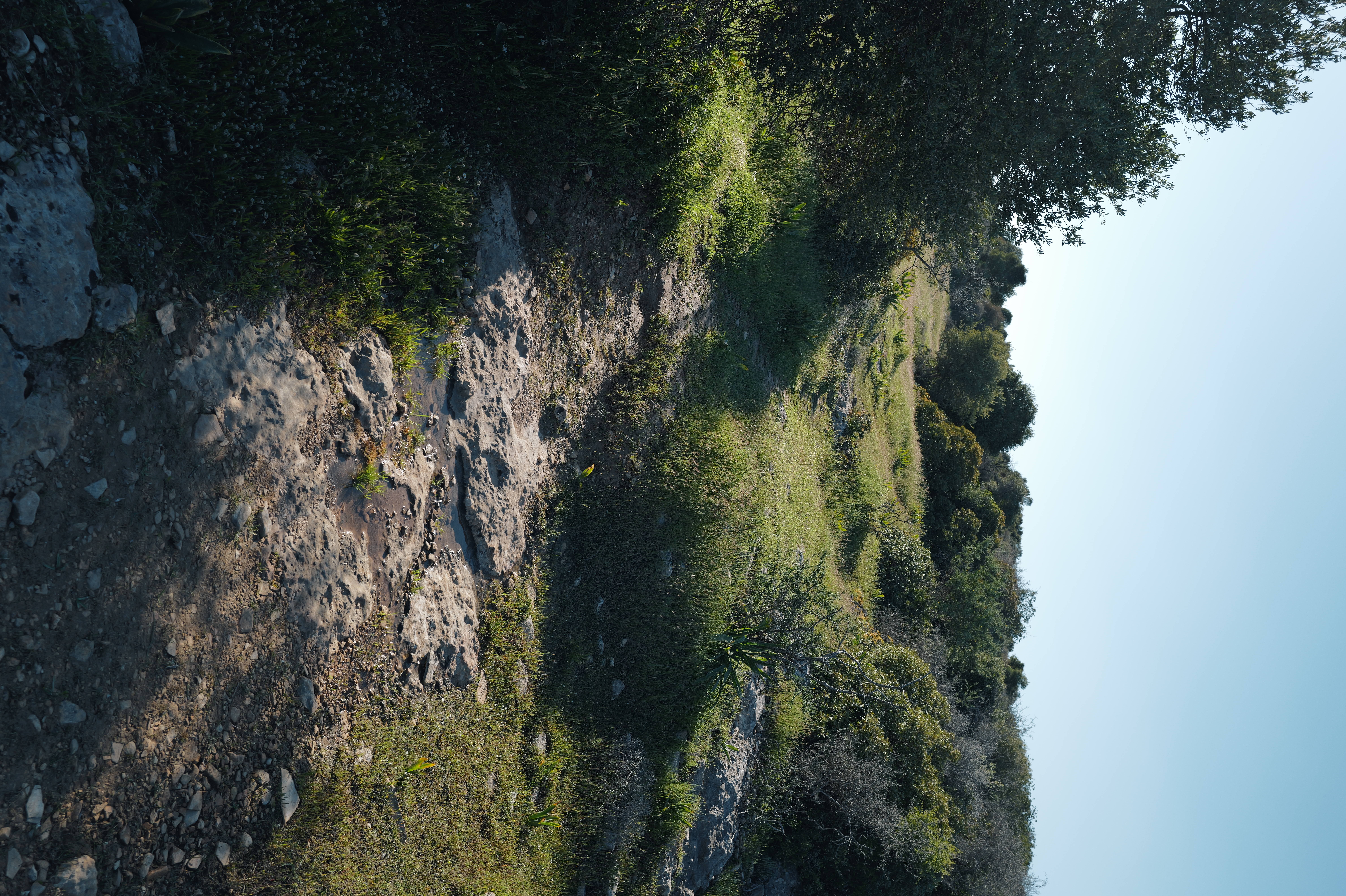 Rocky Trail