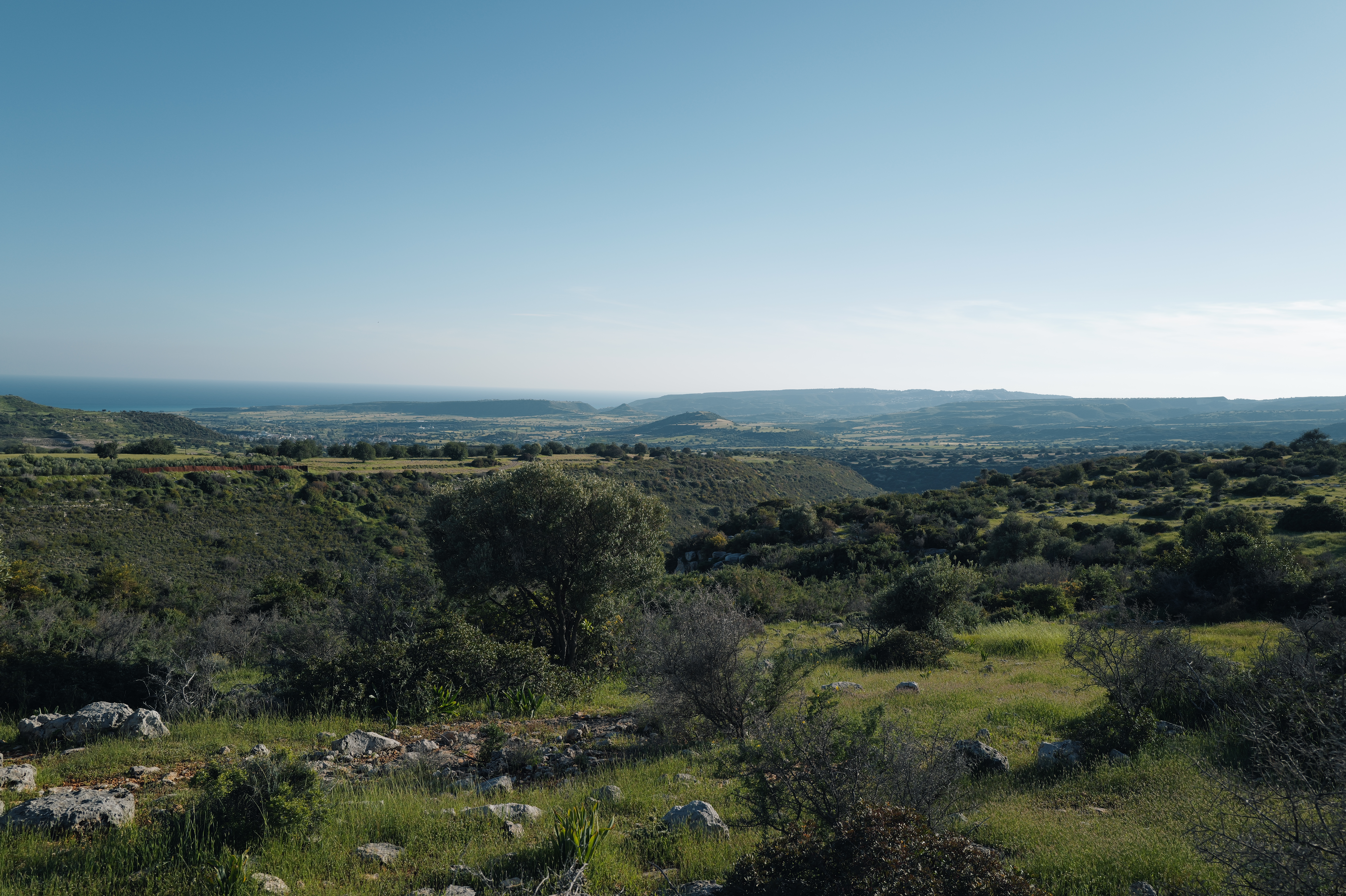 Green Hills to the Sea