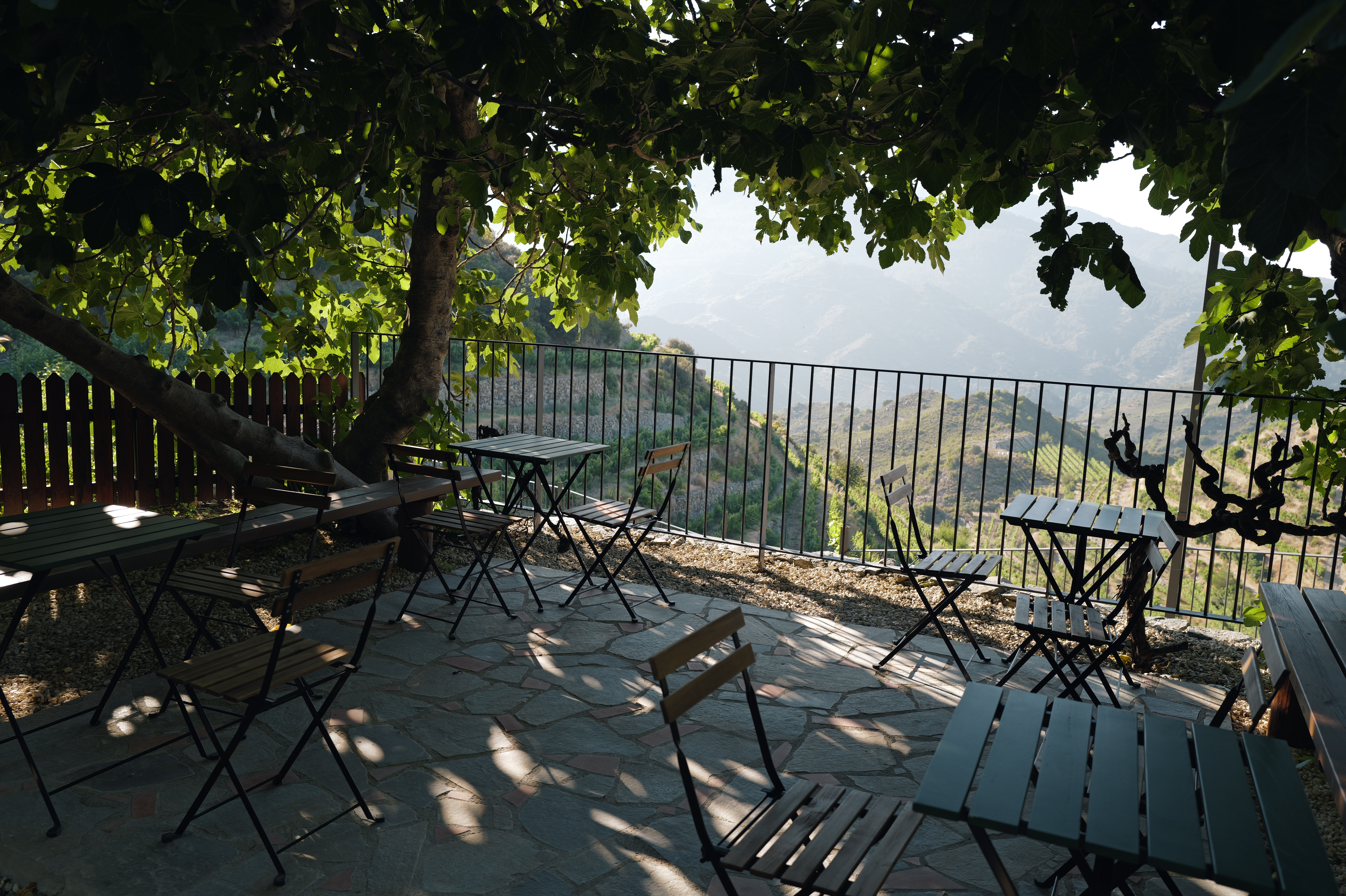 Terrace in the Shade